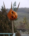 Na balkóne bola takáto nežná ozdoba... Na balkóne bola takáto nežná ozdoba...